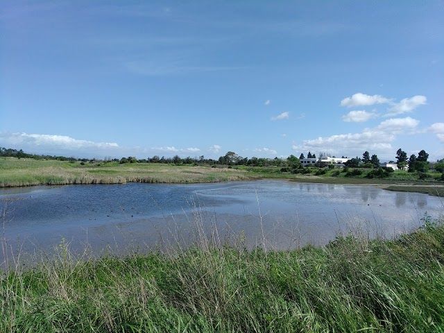 Palo Alto Baylands Nature Preserve Trail